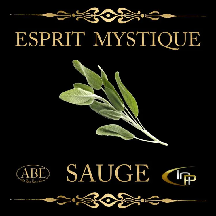 Bougie Soja Esprit Mystique Sauge