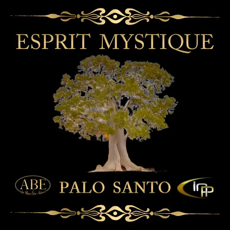 Bougie Soja Esprit Mystique Palo Santo