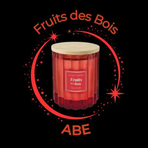 BOUGIE SOJA FRUITS DES BOIS 100 GR 