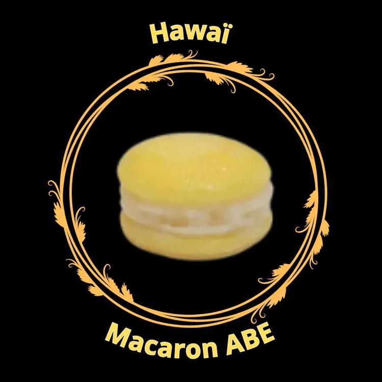 Fondant Macaron Hawaï
