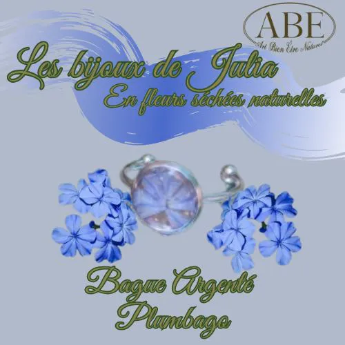 Bague Argenté Plumbago