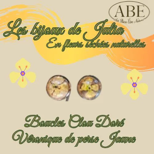 Boucle clou Doré Véronique de Perse