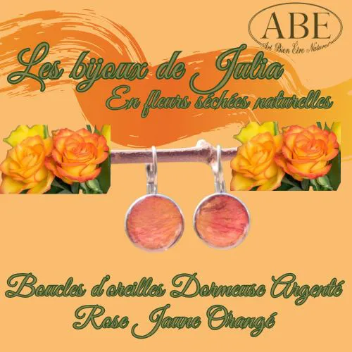 Boucle Dormeuse Argenté Rose Jaune Orangé