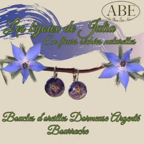 Boucle Dormeuse Argenté Bourache