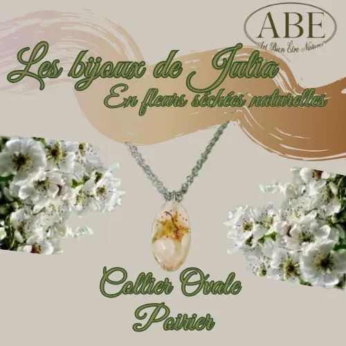 Collier argenté Ovale Poirier
