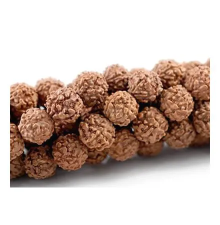 Rudraksha 6mm perles rondes perc&eacute;es