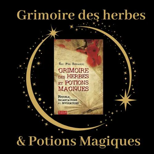  Livre Grimoire des herbes et potions magiques