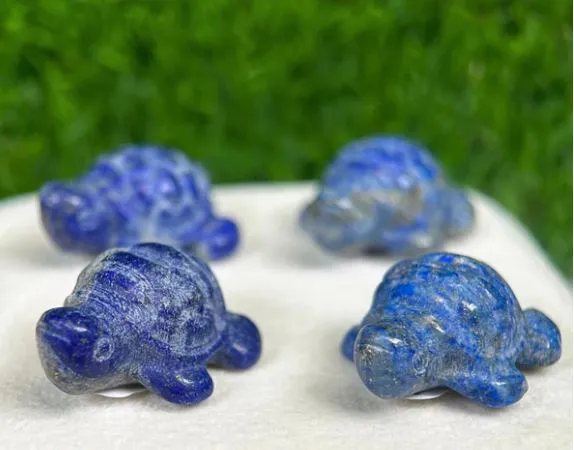 Tortue Lapis lazuli