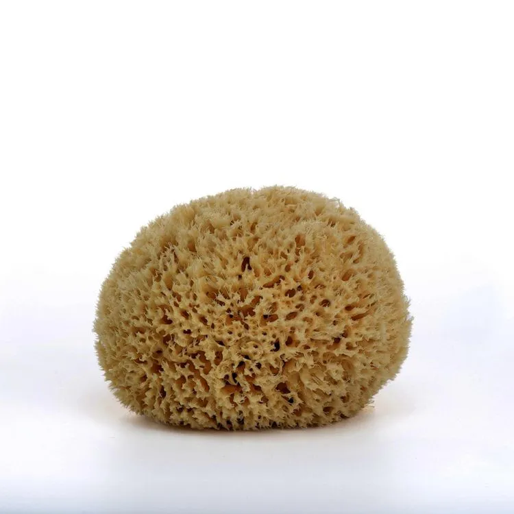 EPONGE NATURELLE TAILLE M 12 CM
