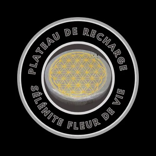 Plateau Selenite Fleur de Vie Dore