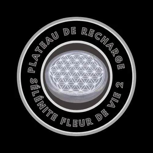 Plaque Selenite Fleur de Vie 