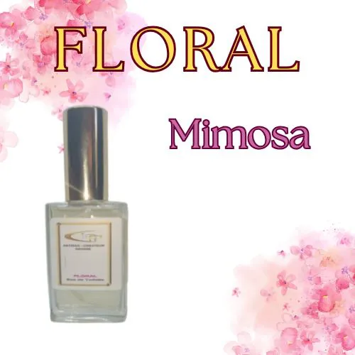 Parfums 50ml - Mimosa