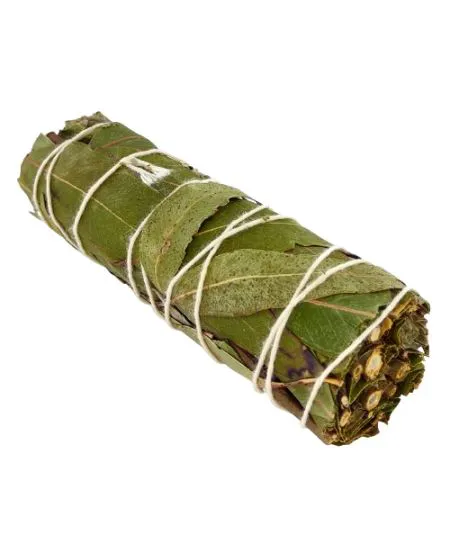 Sauge Blanche + Eucalyptus 11cm (+-30gr.)