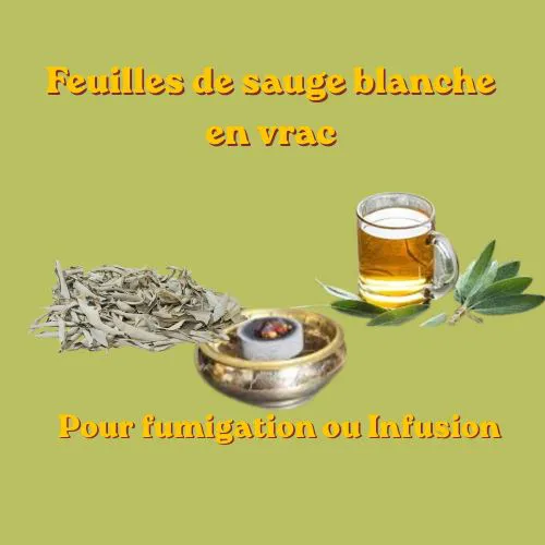 Sauge Blanche ( Feuilles) 100 gr