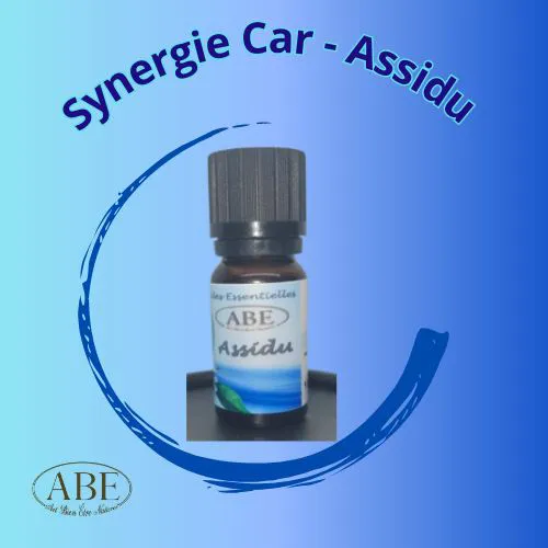 Synergie Car -Assidu