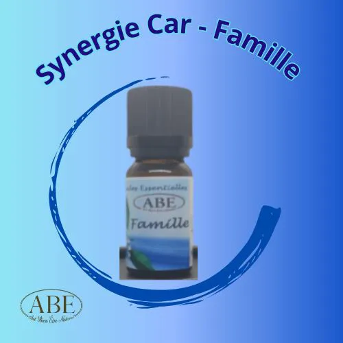 Synergie Car - Famille