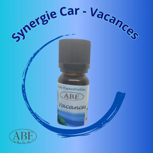 Synergie Car -  Vacances