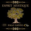 Bougie Soja Esprit Mystique Palo Santo 1