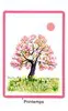 TAROT DES ANIMAUX 2